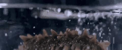 潮阳年货礼盒,1000元左右潮汕礼品