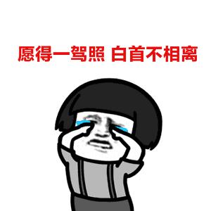 贵港市驾校通过率哪家最好,广西贵港驾校培训班查询