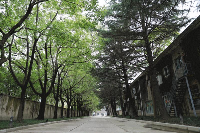 触摸历史印记感受时代新生,触摸历史记忆追忆城市风华