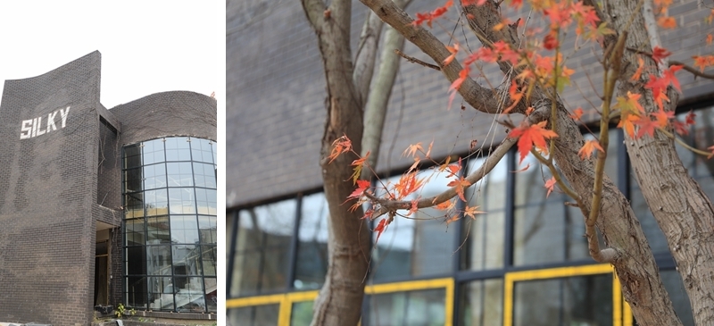 触摸历史印记感受时代新生,触摸历史记忆追忆城市风华