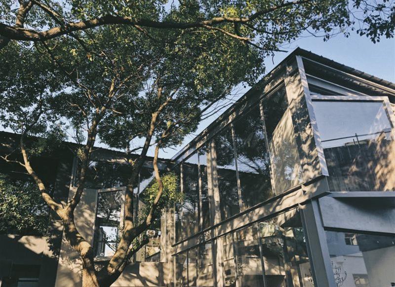 触摸历史印记感受时代新生,触摸历史记忆追忆城市风华