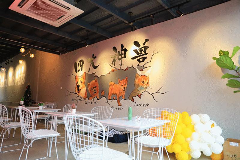 触摸历史印记感受时代新生,触摸历史记忆追忆城市风华