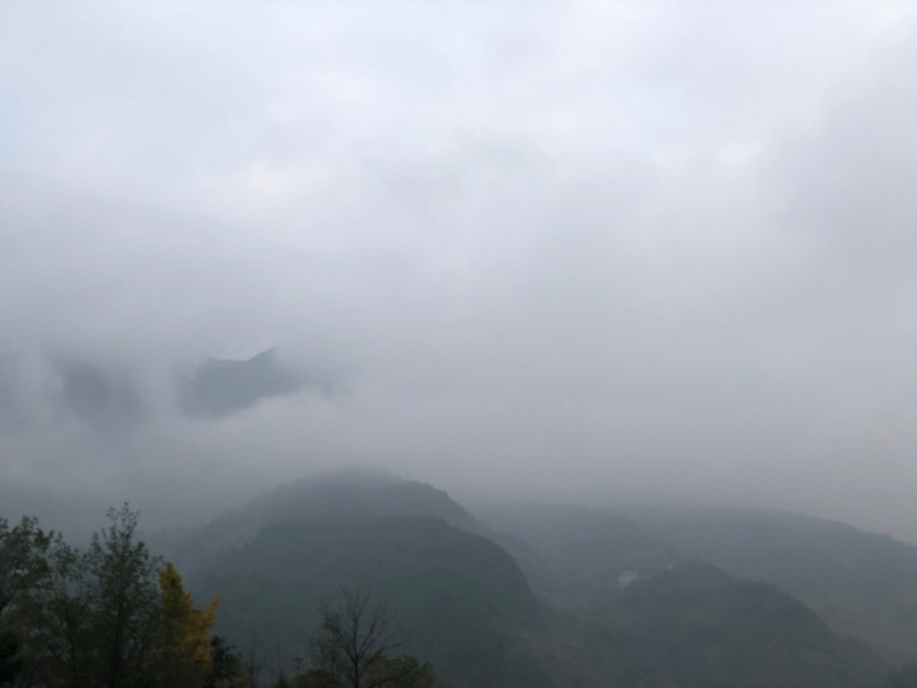 在世外桃源做傻子