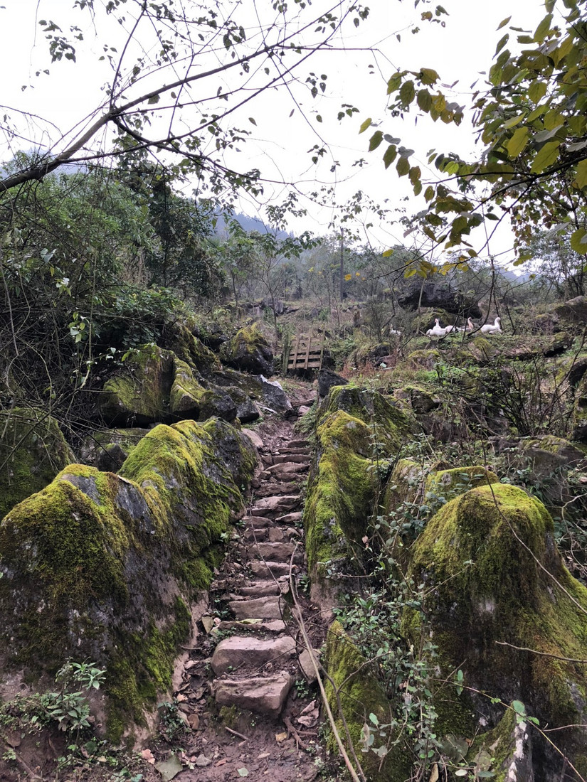 在世外桃源做傻子