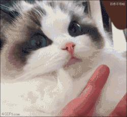 靠舌头舔出来的科学发现，最后一个让我不得不服