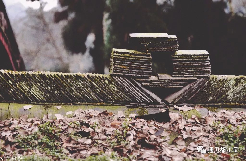 两天一夜青城山攻略,青城山旅游打卡攻略