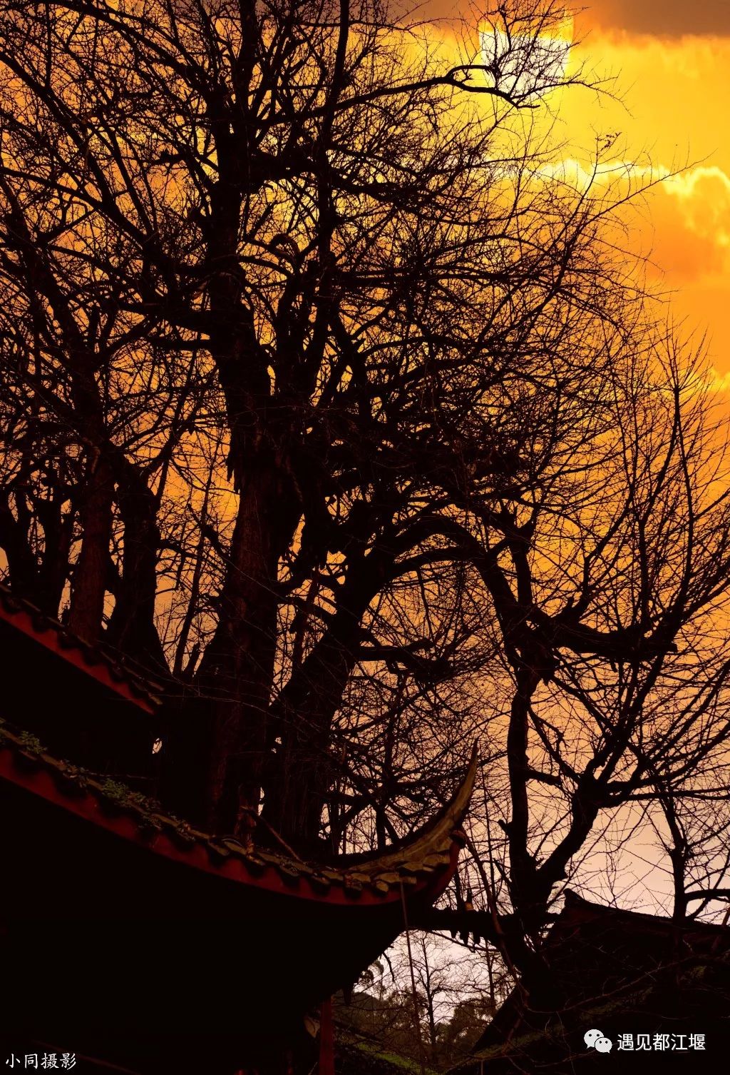 两天一夜青城山攻略,青城山旅游打卡攻略