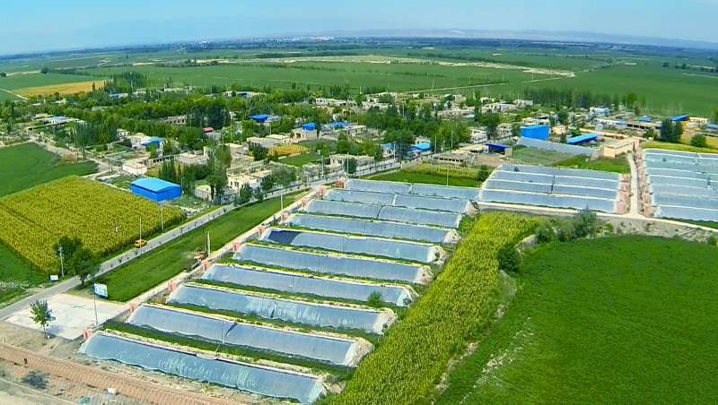 最美乡村有什么特色,有哪些很漂亮的乡村