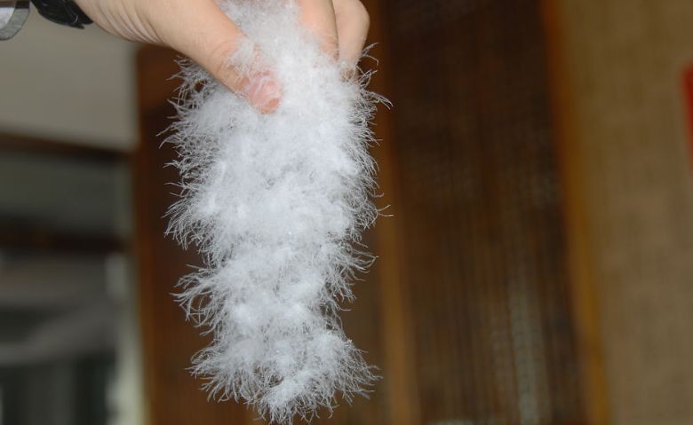 央视曝光六种致癌日用品,被曝光的热销产品有毒吗