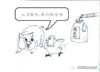 制造假冒食用油案子,地沟油作坊涉案5000多万元被查处