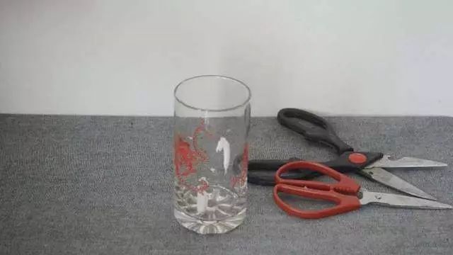剪刀生锈怎么办不用白醋或小苏打,剪刀生锈解决小技巧图片