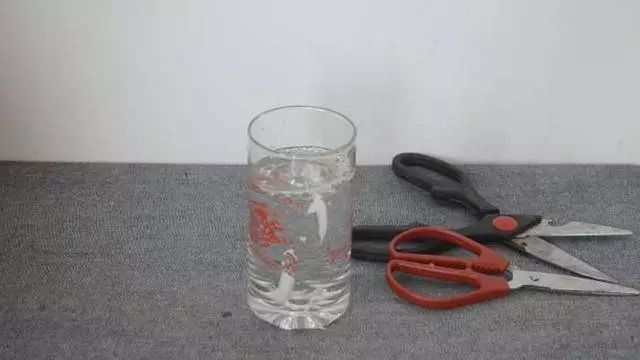 剪刀生锈怎么办不用白醋或小苏打,剪刀生锈解决小技巧图片