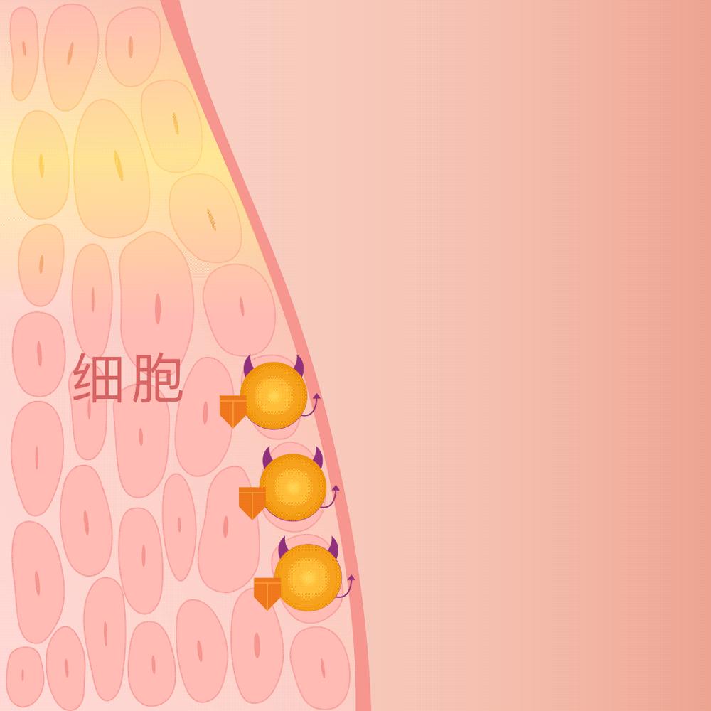 抗老抗氧化应该注意什么,护肤抗氧化和吃东西抗氧化