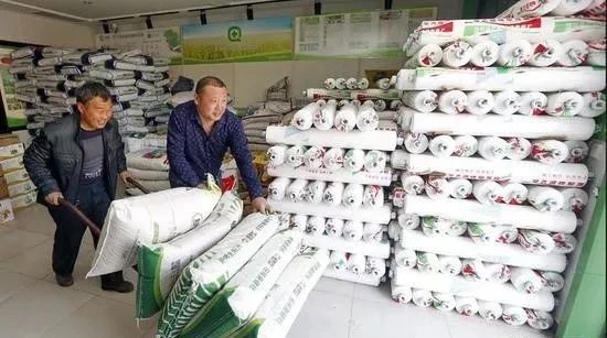 豁出去了！我要帮菜农们说说难听的真心话，他们真的快坚持不下去了！