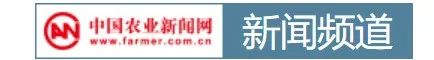 央视报道淮安涟水,淮安塑造美丽乡村新闻