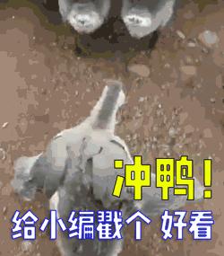 满满的回忆！福建这些老品牌，看完泪目！福宁老酒、一见喜牙膏……