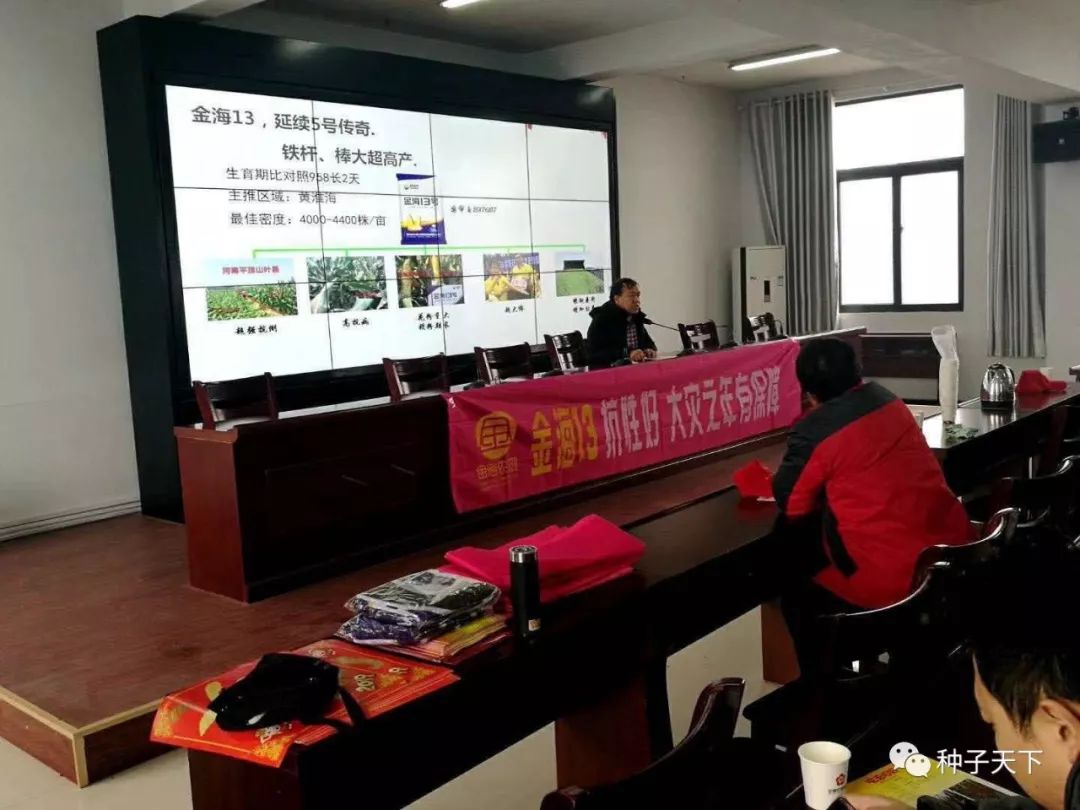 山东金海种业玉米种,全国十大玉米种业公司主打品种