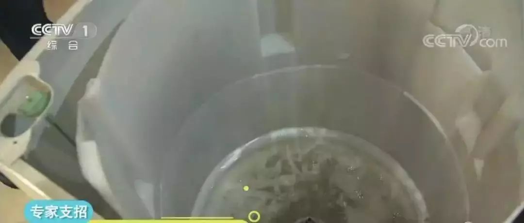 你家的洗衣机有多脏清洗一下吧,你家的洗衣机原来这么脏