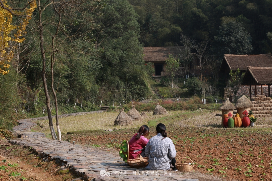 心中都要有属于自己的桃花源,我们终将抵达自己的桃花源