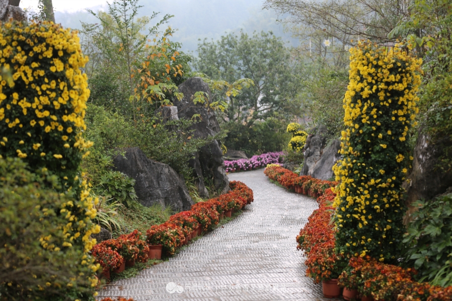 心中都要有属于自己的桃花源,我们终将抵达自己的桃花源