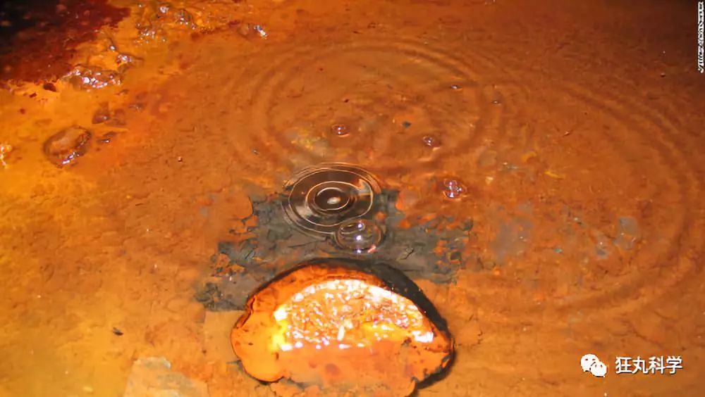 靠舌头舔出来的科学发现，最后一个让我不得不服