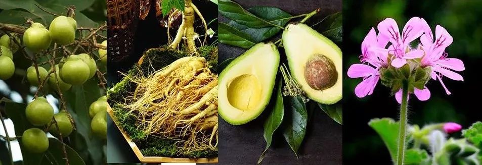 香味浓郁持久偶像的洗发水推荐,2018年最好用的洗发水