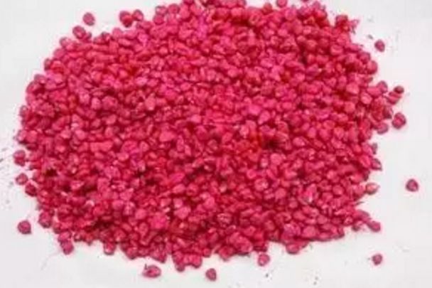 今年玉米种买什么种子好,2019年的玉米种子2021年种行吗