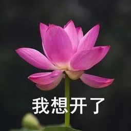 交流代沟or躲避唠叨，湘大人的父母都是「圈外人」吗？