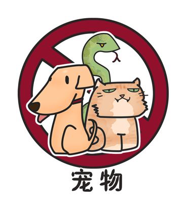 春节期间鼓浪屿船票买票 (春节鼓浪屿船票)