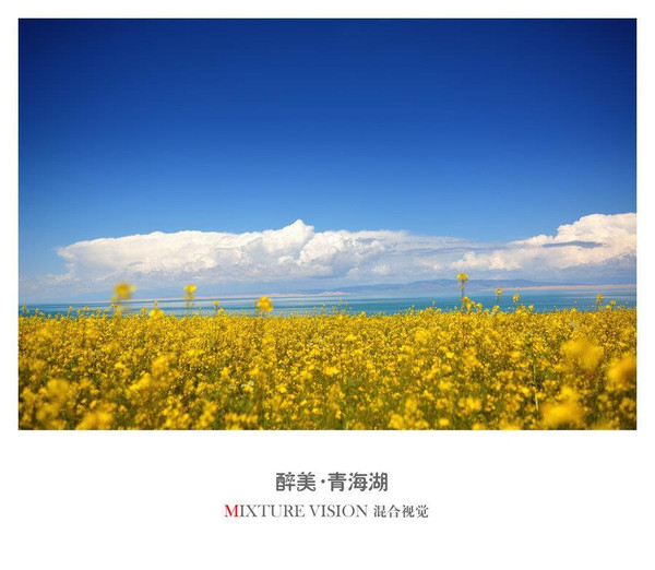 到青海湖旅游注意事项,去青海湖需要注意什么