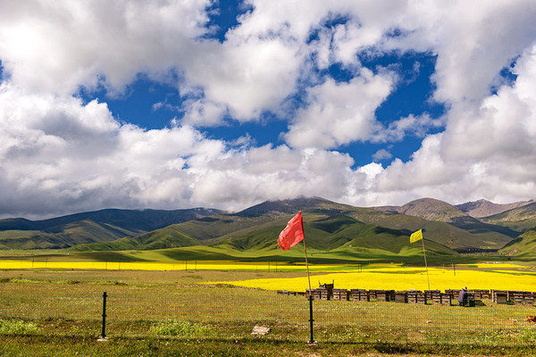 到青海湖旅游注意事项,去青海湖需要注意什么