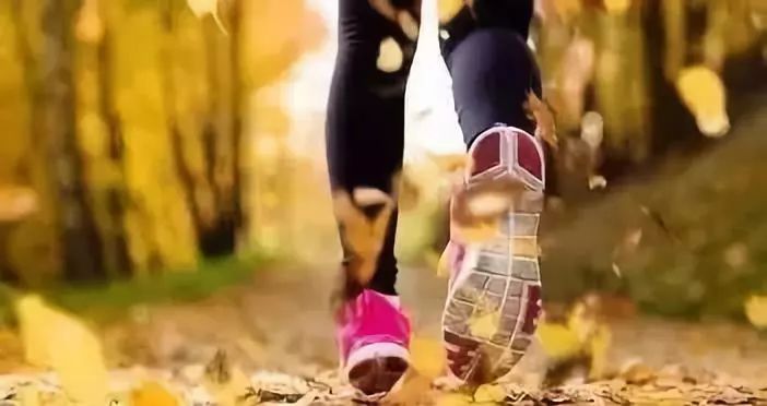 癌症患者的运动指南,癌症患者的饮食和运动