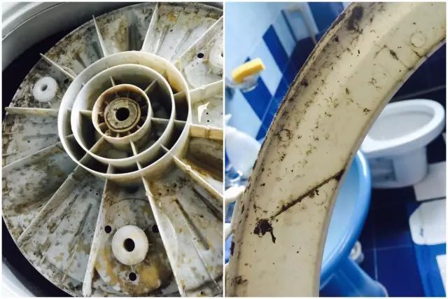 最强保洁天团完整视频,最强清洁团队