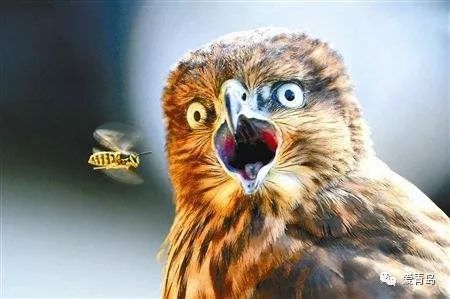 海淘为什么不会买到假货,海淘是不是都得小心了