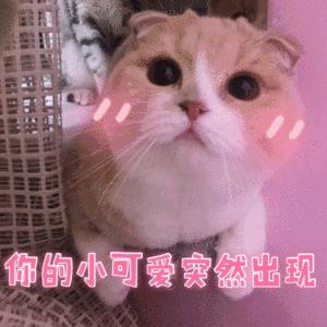 保姆级护肤的正确方法,保姆级护肤教学