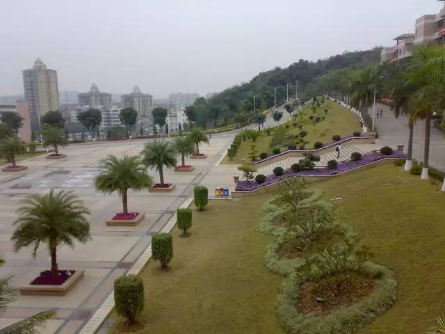 中山大学南方学院幕后大老板是丰顺人