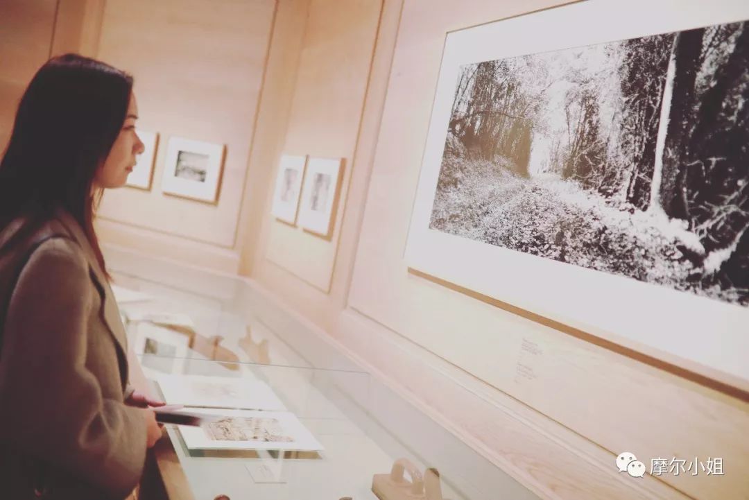 lv值得入手的经典单品,lv摩尔质量