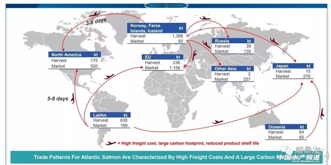 中国海鲜市场未来几年的发展,全球海鲜行业发展趋势