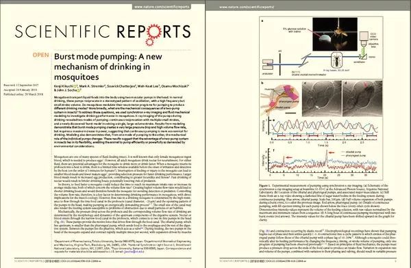 蚊子是怎么出现的科学原理,蚊子十大鲜为人知的科学事实