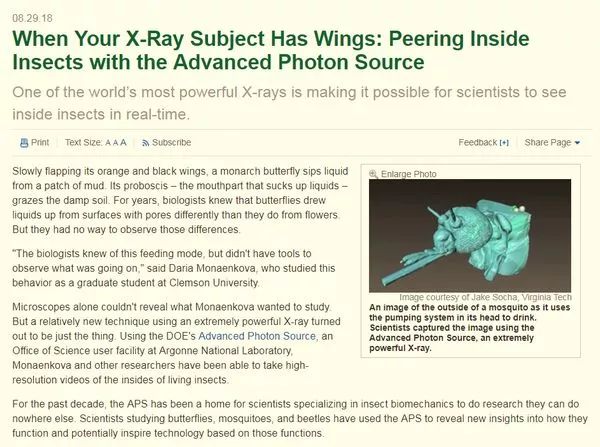 蚊子是怎么出现的科学原理,蚊子十大鲜为人知的科学事实