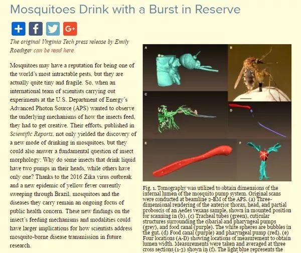 蚊子是怎么出现的科学原理,蚊子十大鲜为人知的科学事实