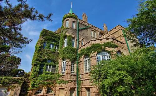 青岛八大关枫叶,青岛听劝版攻略