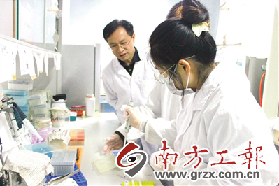 郑怀平,郑怀平教授