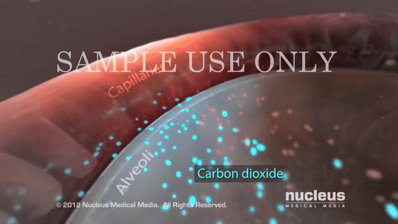 男子哮喘发作喘不过气,哮喘发作呼吸不顺畅