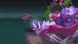 那些写香评的人文采有多好？让你隔屏闻到香水味儿丨夜听双语