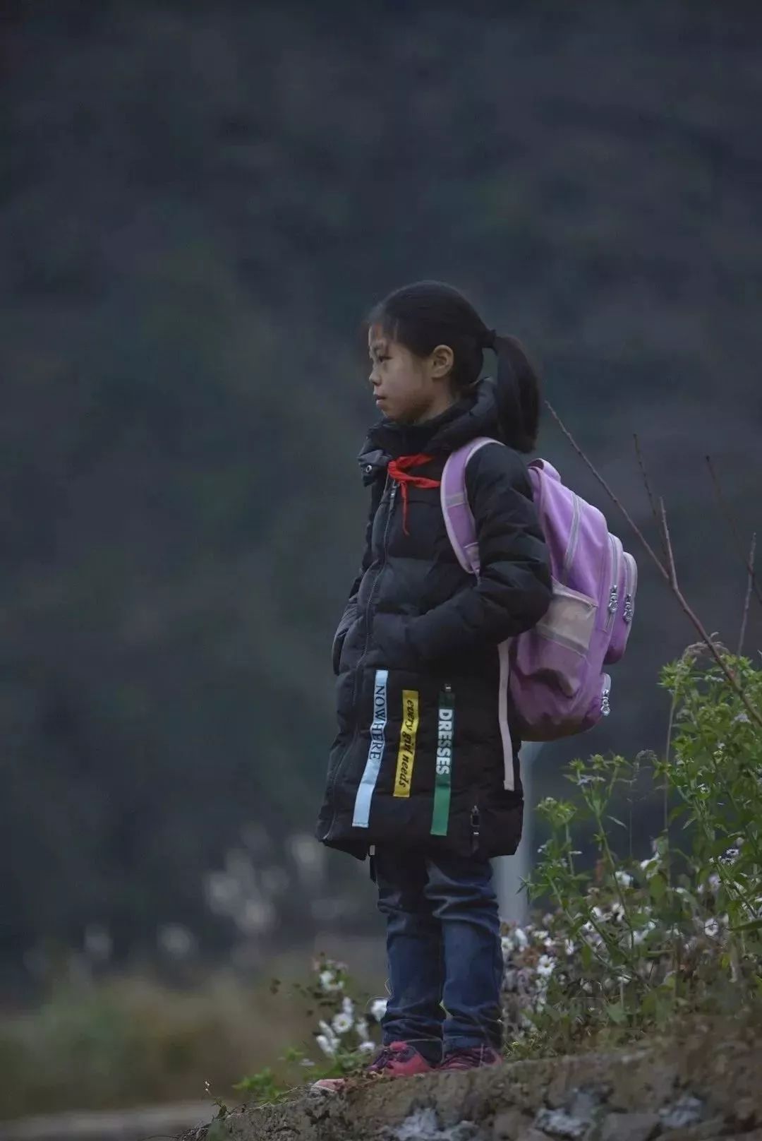 今天起!福州上百万人人人人人将涌向这里,原来是……