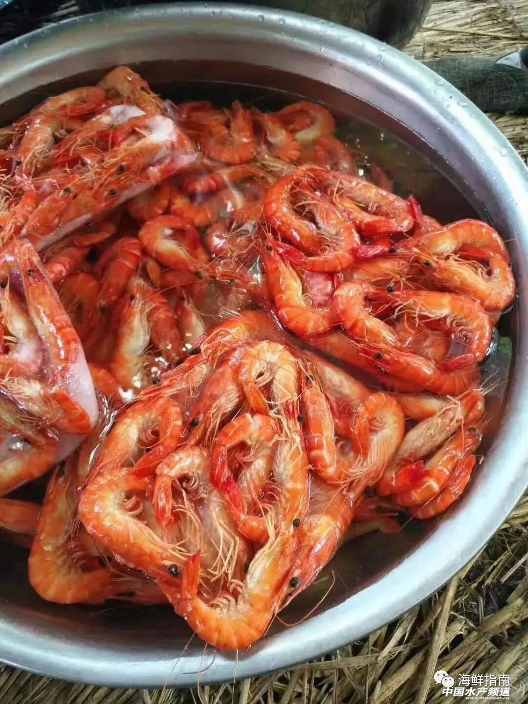 饭店的白灼虾为什么那么好吃,大排档的白灼虾为什么那么鲜甜