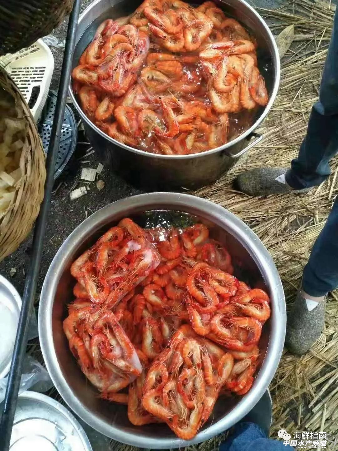 饭店的白灼虾为什么那么好吃,大排档的白灼虾为什么那么鲜甜