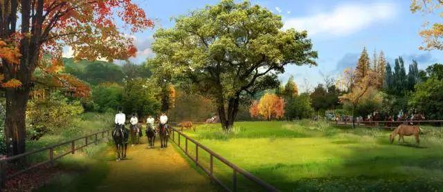 亚洲最大主题乐园,南京室内攀爬乐园