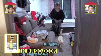 撤掉日剧滤镜的日本人家居然比你家还要乱？